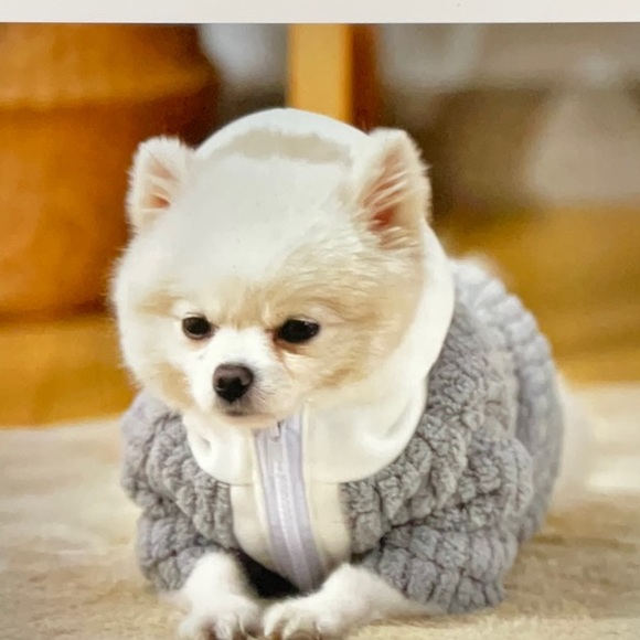 NWT adorable fleece lined dog hoodie, size M - Picture 4 of 9